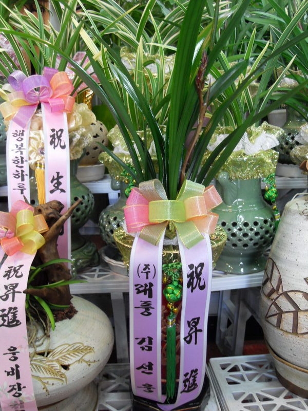 輱ֹ