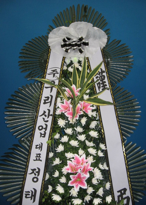 츮ֹ