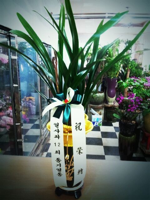 輺ֹ