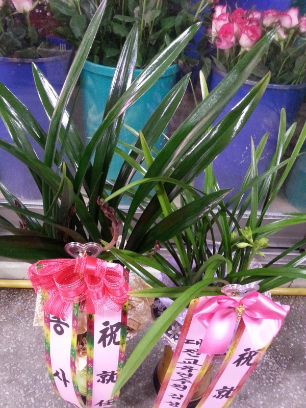 輺ֹ