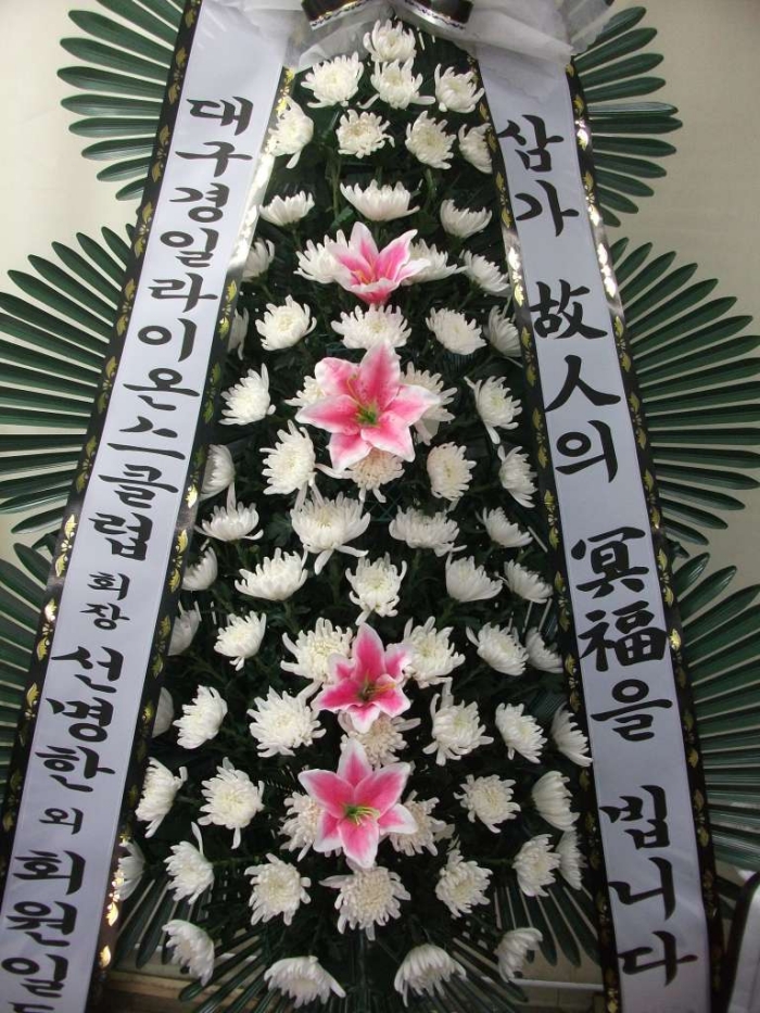 뱸϶̿½Ŭֹ