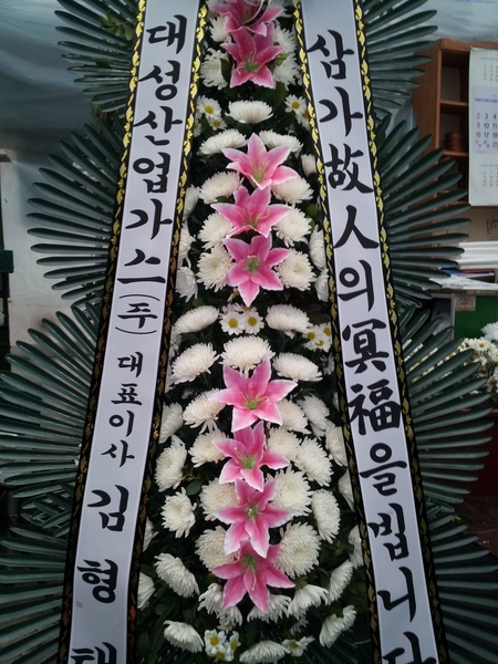 뼺ֹ