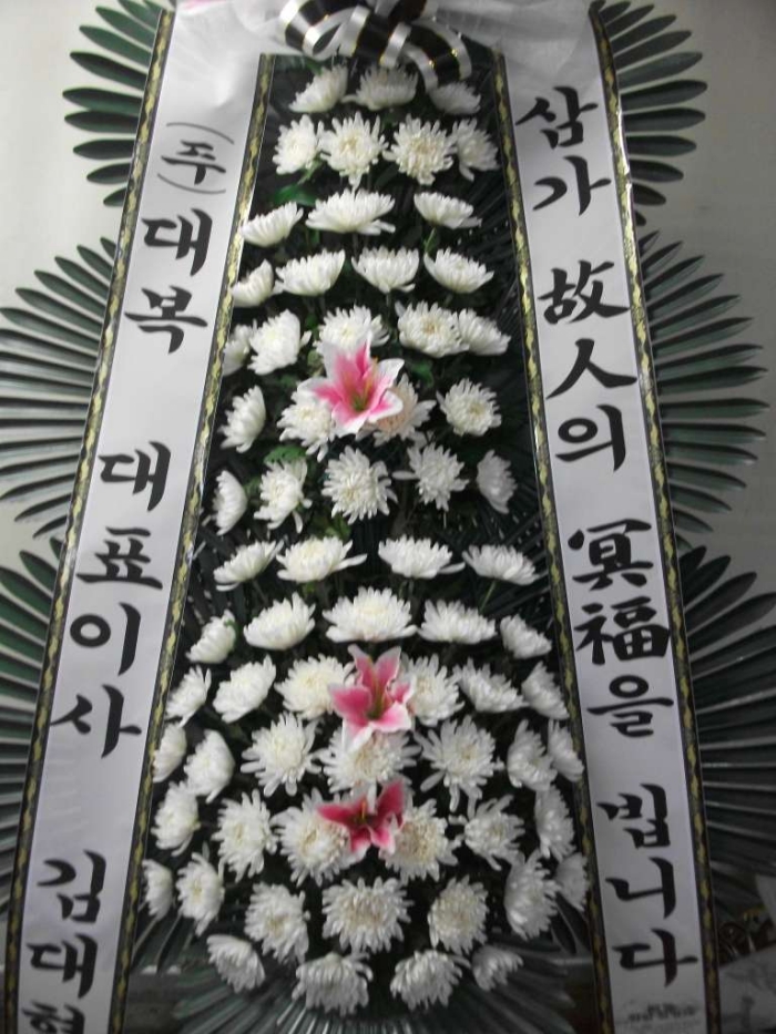 뺹ֹ