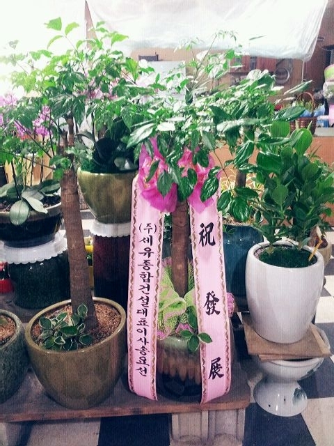հǼֹ