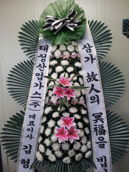 뼺ֹ