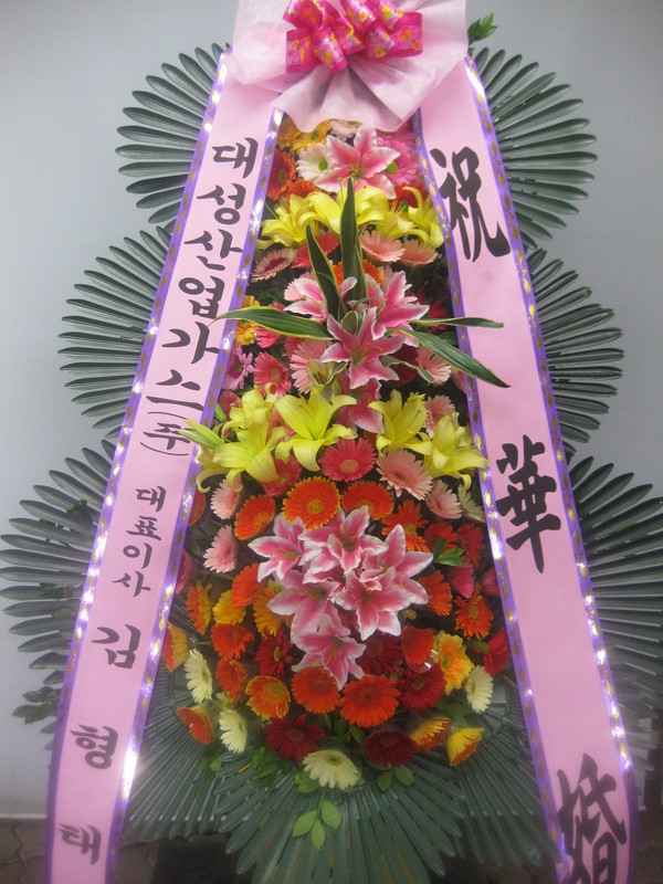 뼺ֹ