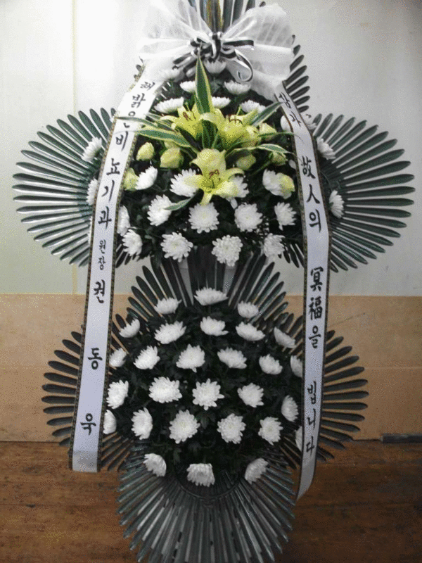 񴢱ֹ