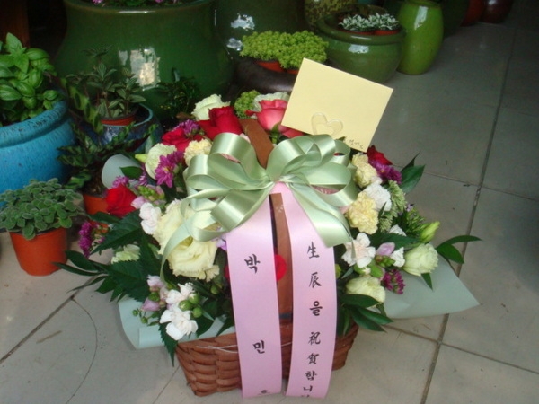 迵̴ֹ