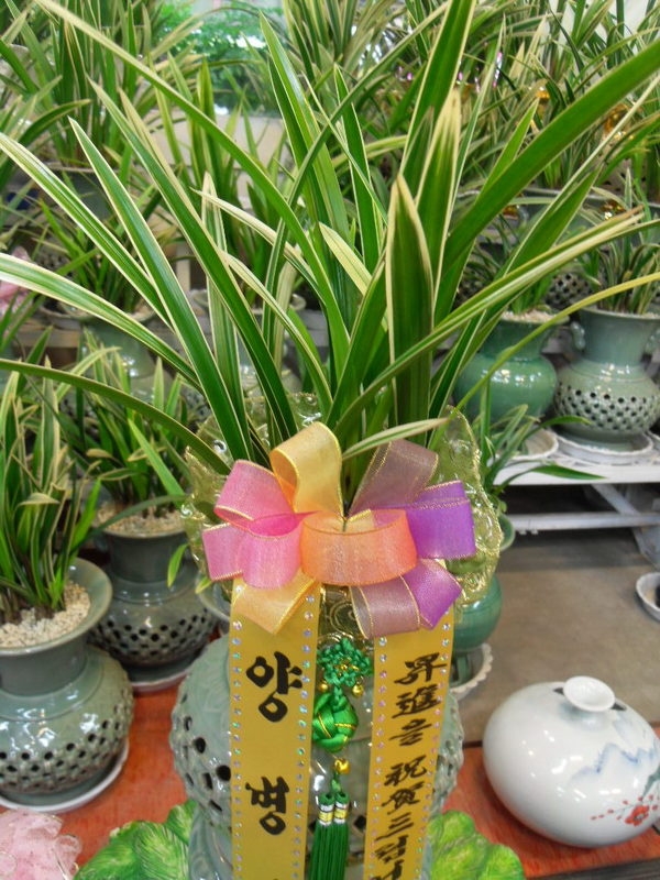 纴ֹ