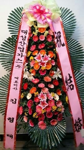 뼺ֹ