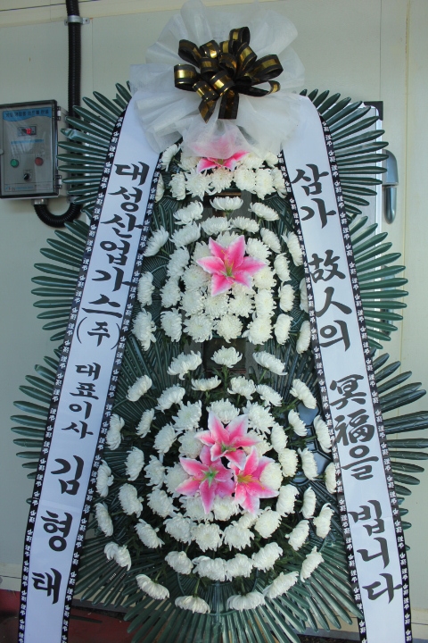 뼺ֹ