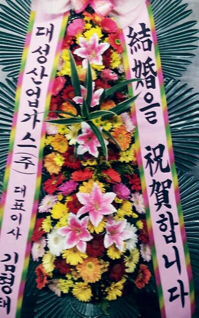 뼺ֹ