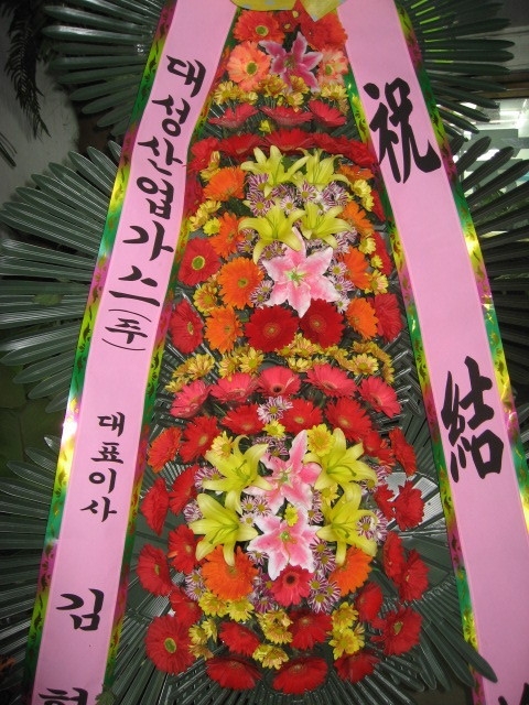 뼺ֹ