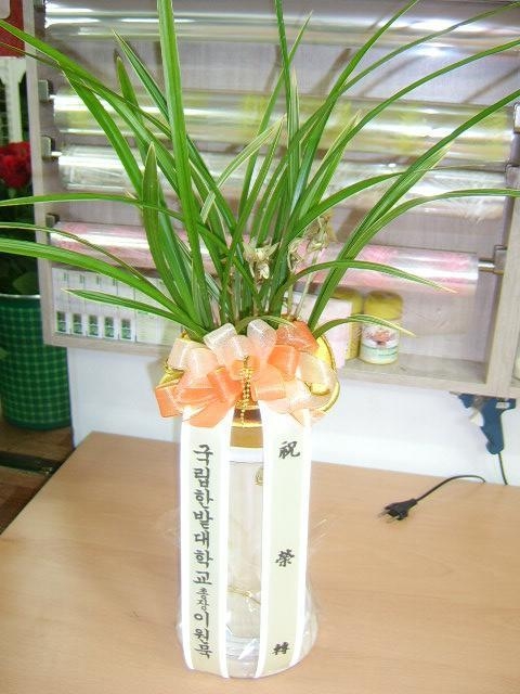 ѹֹ
