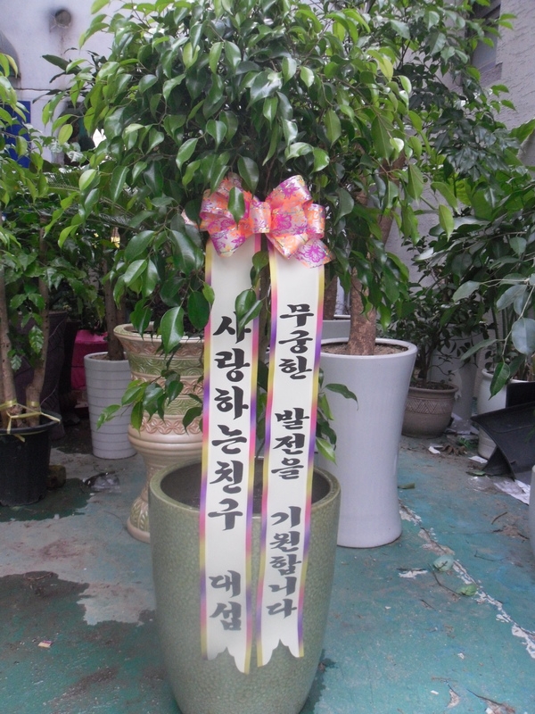 뼷ֹ