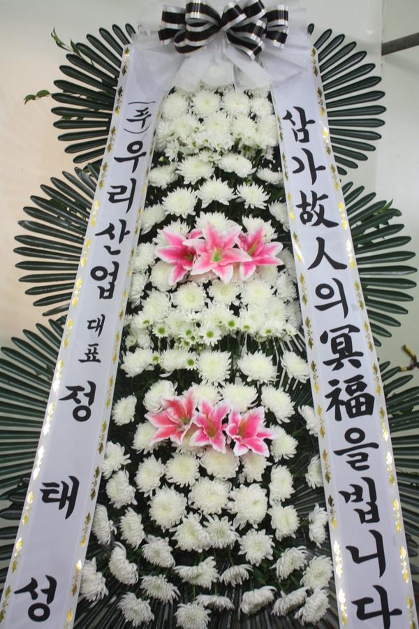 츮ֹ