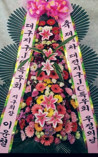 뱸JCֹ
