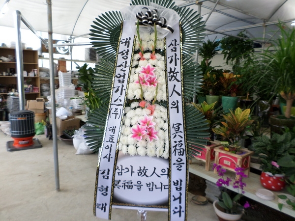 뼺ֹ