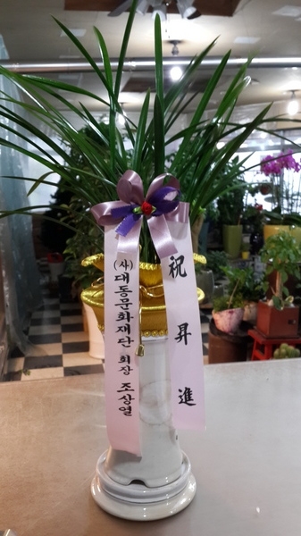 뵿ȭֹ
