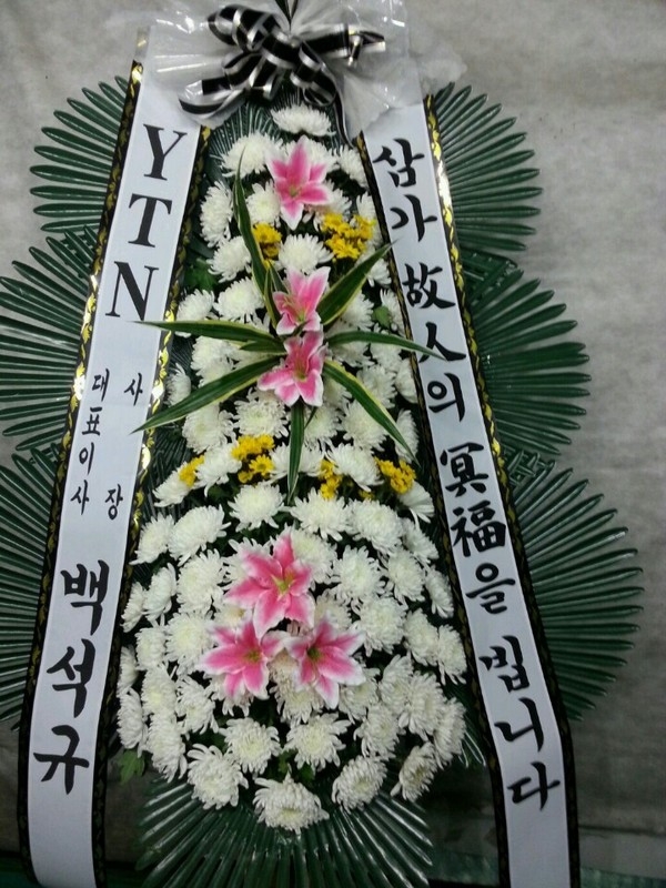 YTNֹ