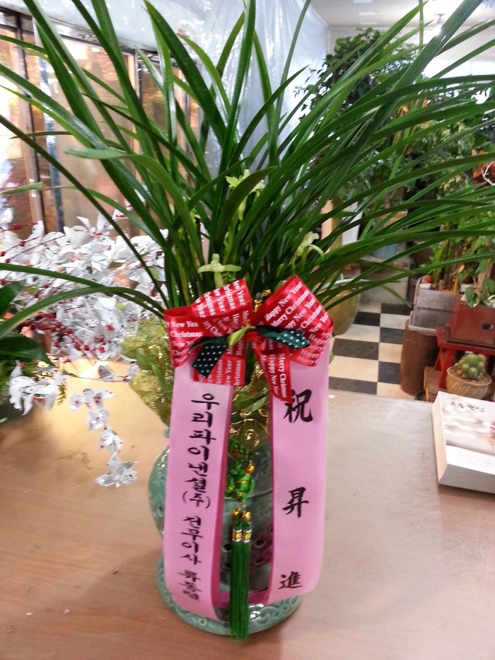 츮ֹ̳