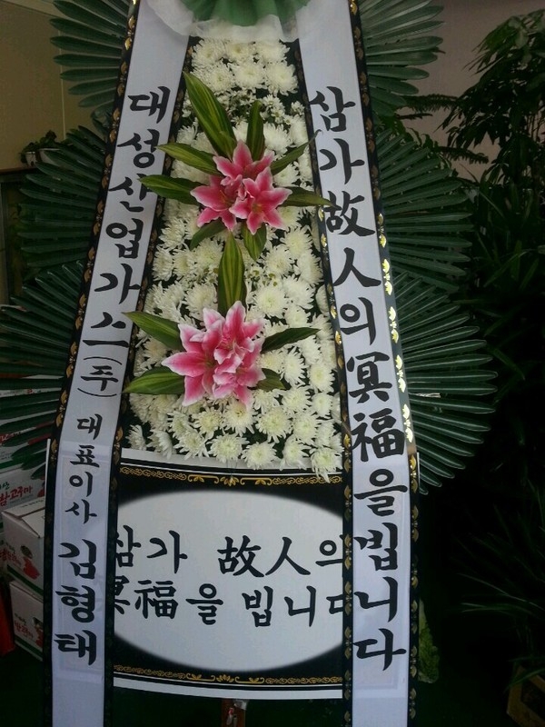 뼺ֹ