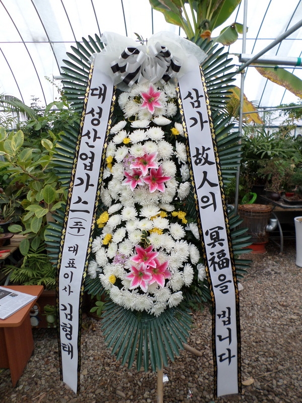 뼺ֹ