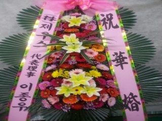 콺ֹ
