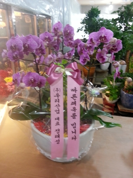 츮 * ֹ