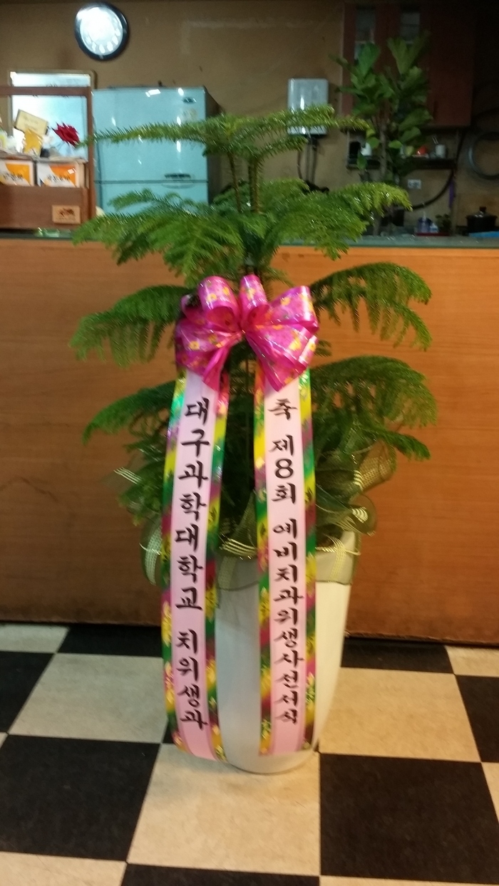 뱸дֹ