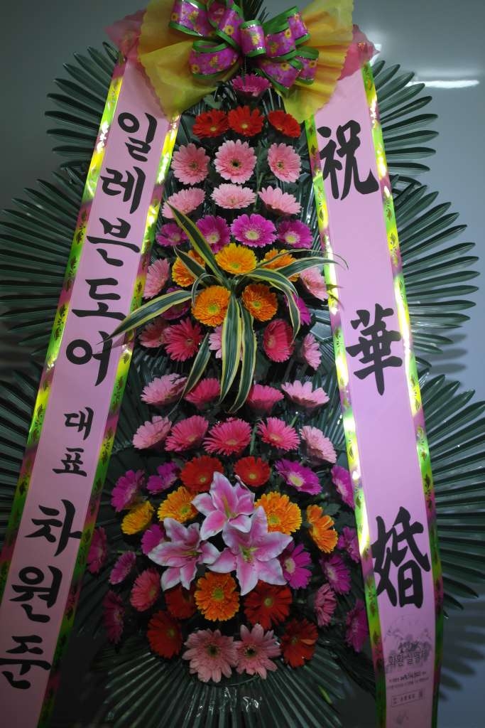 Ϸ쵵ֹ