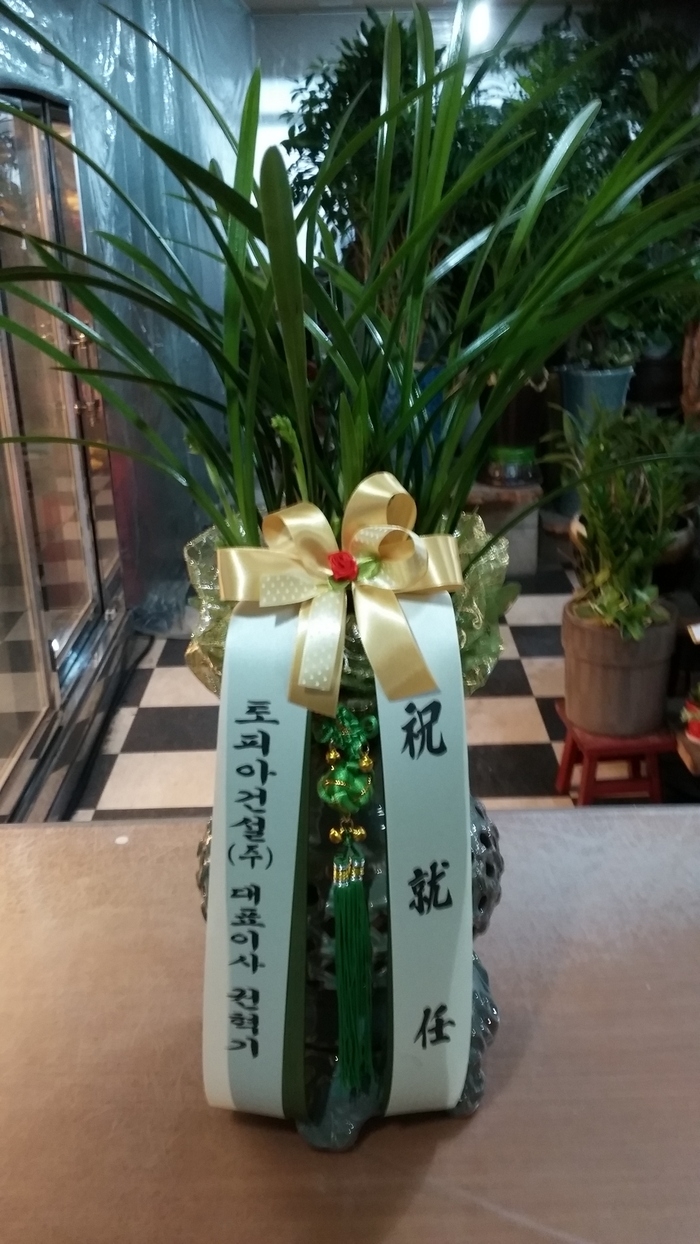 ǾưǼֹ