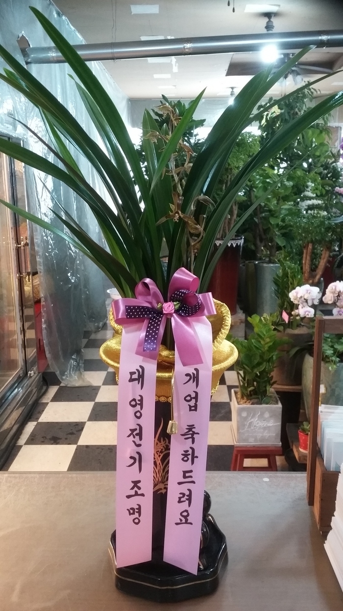 뿵ֹ