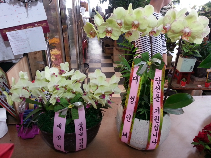 뼺μ ֹ