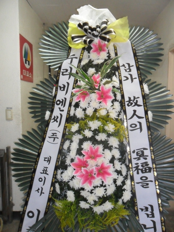 񿣾ֹ