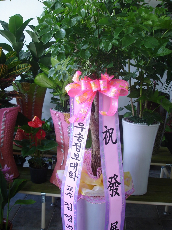   迵ִ ֹ