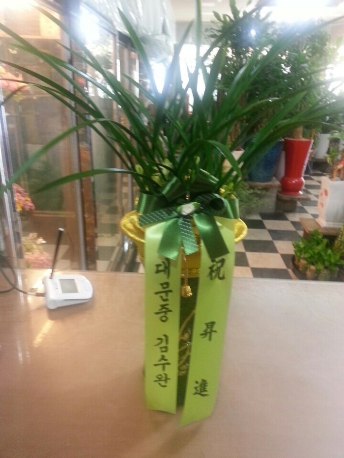 빮 ϴ ֹ