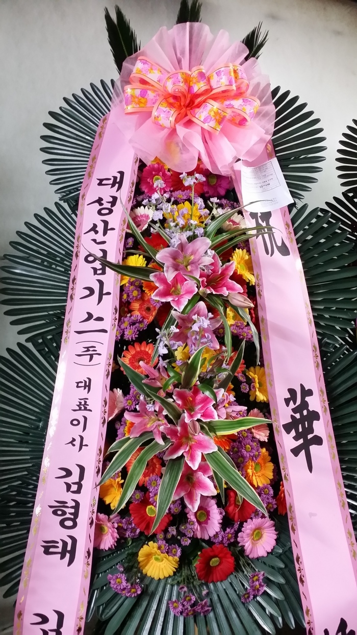 뼺 ǥ ֹ