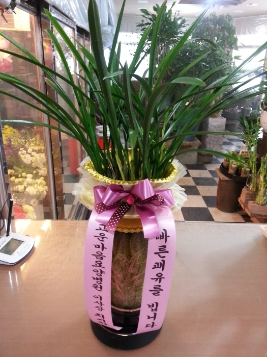  纴 ֹ