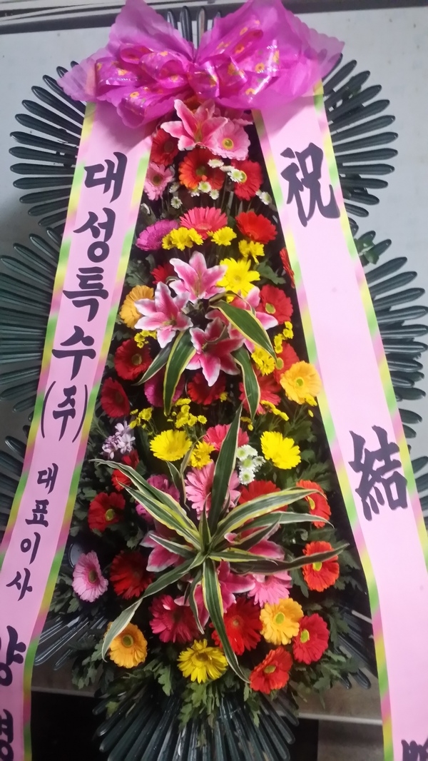 뼺Ư() ǥ̻ ֹ