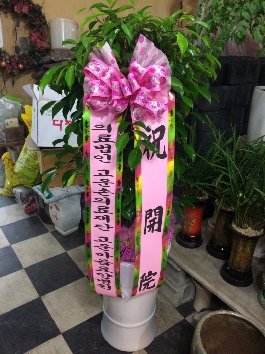տ纴 ֹ