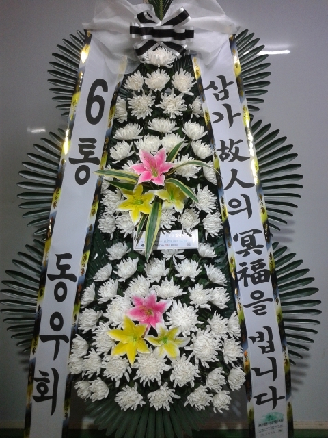 6뵿ȸ ֹ