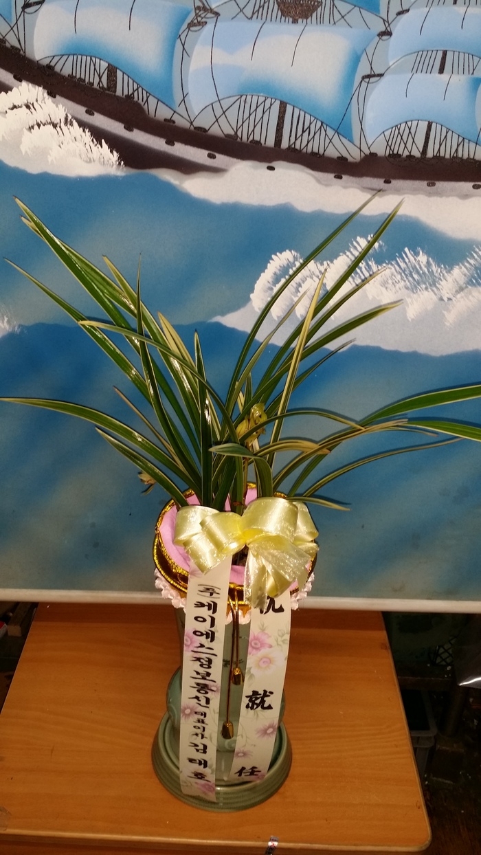 ̿  ǥ ֹ