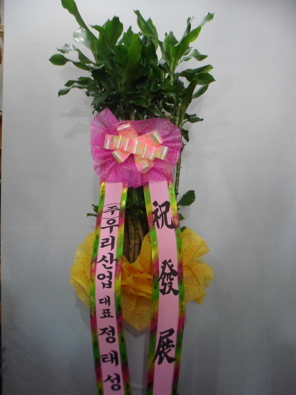 츮 ֹ