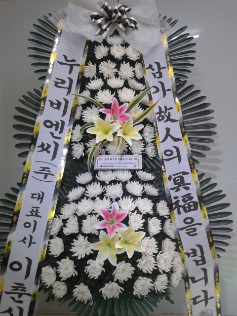 񿣾 ֹ