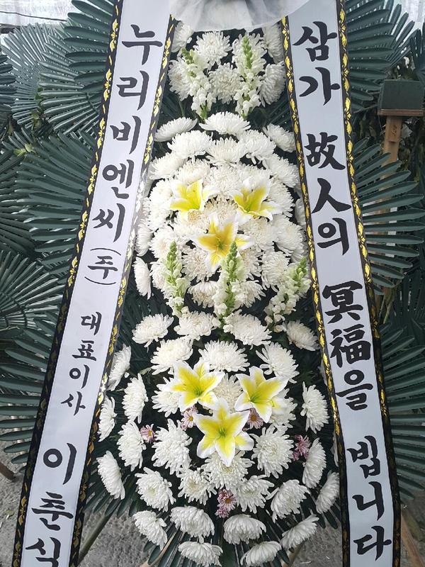 񿣾 ֹ