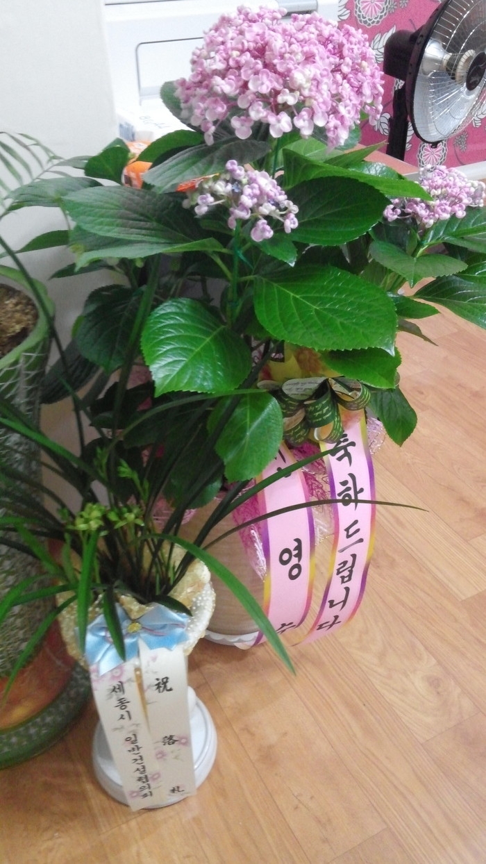  ϹݰǼȸ ֹ