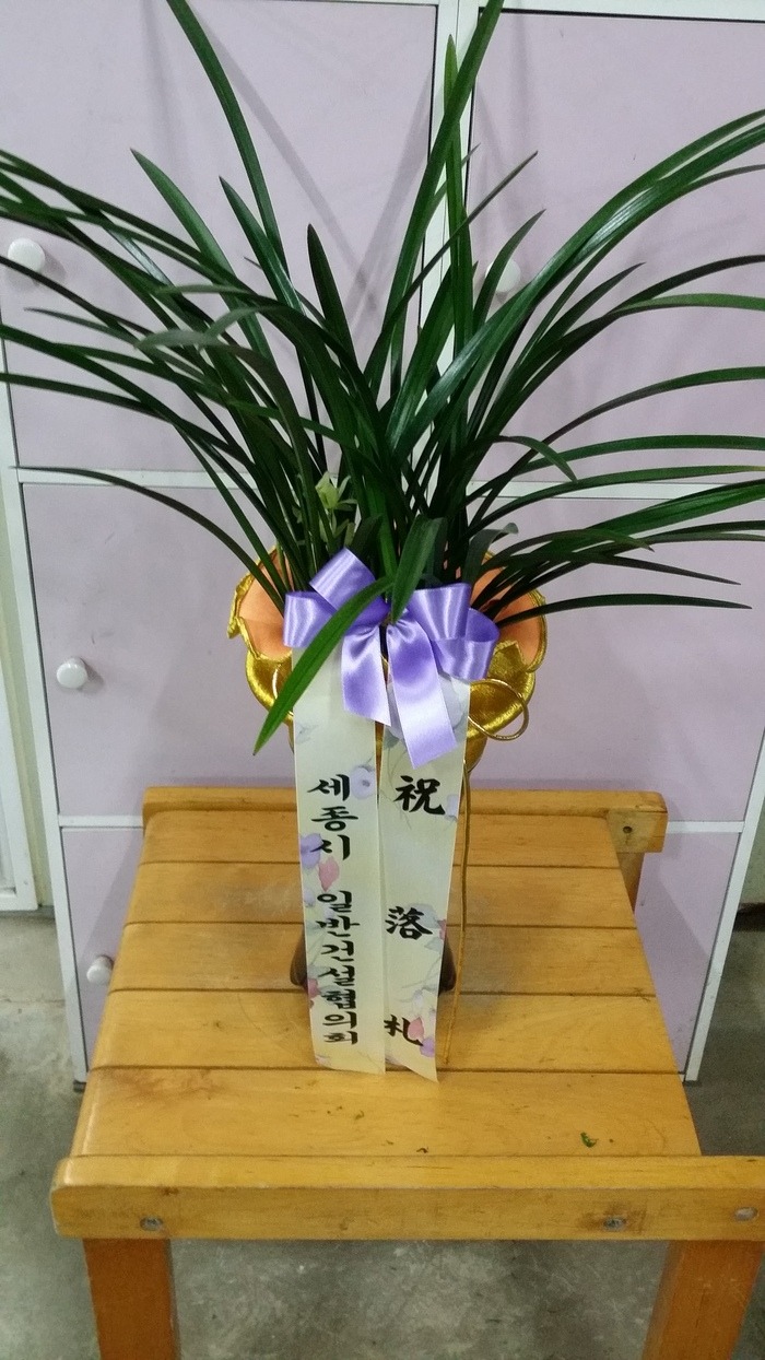  ϹݰǼȸ ֹ
