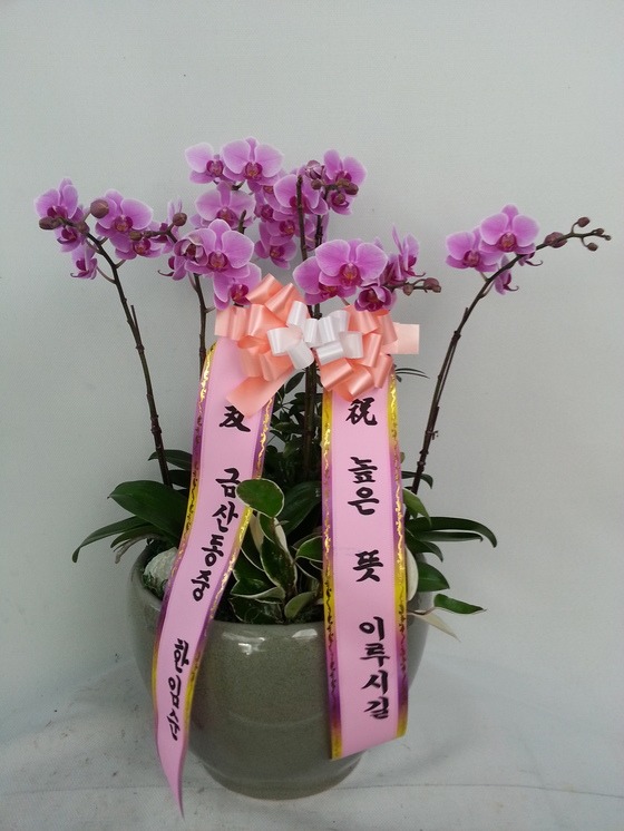 ݻ굿 * ֹ