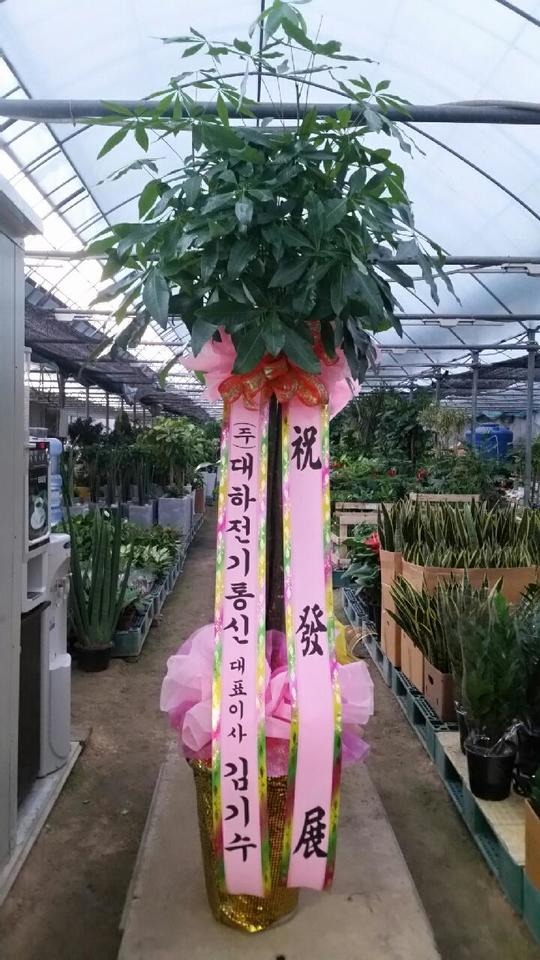  ֹ